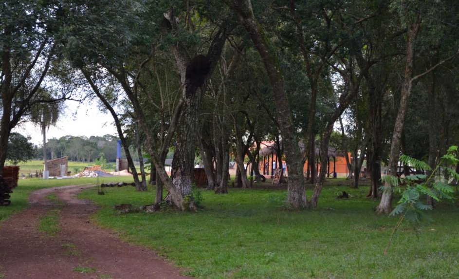 201508031105 el establecimiento del excomandante ubicado en mbocayaty de yhaguy departamento de cordillera tiene una superficie total de 5 hectareas